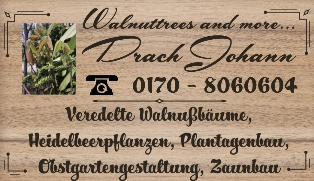Johann Drach Zaunbau